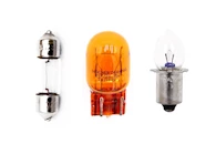 Miniature Bulbs